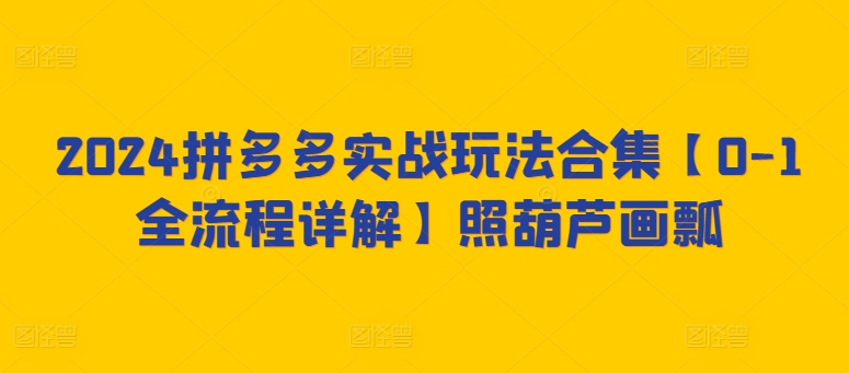 2024拼多多实战玩法合集【0-1全流程详解】照葫芦画瓢-599资源坊