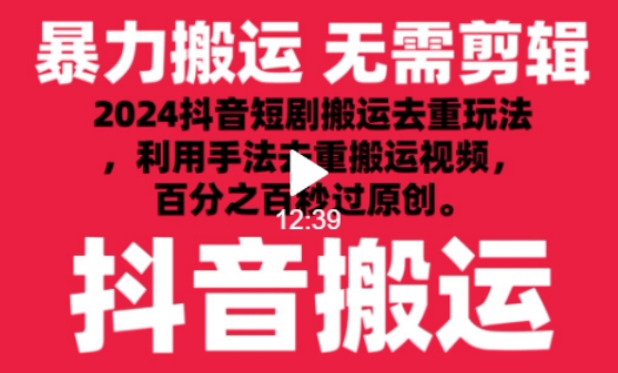 2024最新抖音搬运技术，抖音短剧视频去重，手法搬运，利用工具去重，达到秒过原创的效果【揭秘】-599资源坊