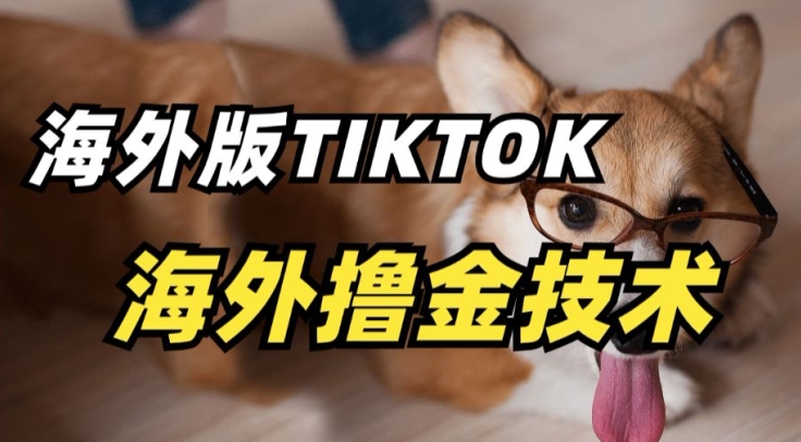 抖音海外版tiktok撸金技术，这个风口行业，赚钱真的不难【揭秘】-599资源坊