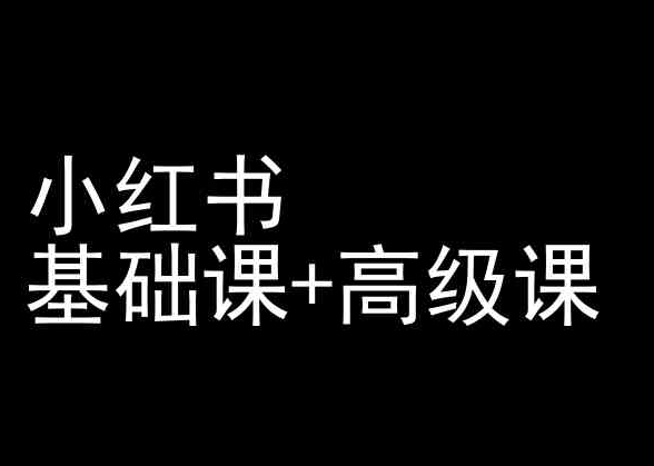 小红书基础课+高级课-小红书运营教程-599资源坊
