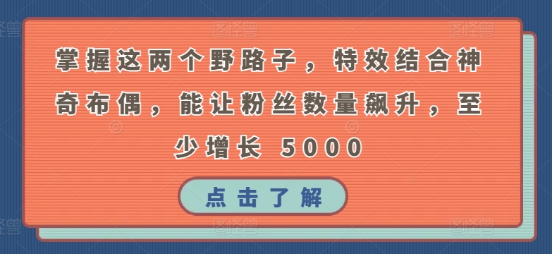 掌握这两个野路子，特效结合神奇布偶，能让粉丝数量飙升，至少增长 5000【揭秘】-599资源坊