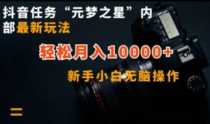 抖音任务“元梦之星”内部最新玩法,新手小白无脑操作,轻松月入10000+【揭秘】-599资源坊