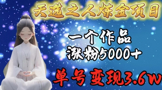 天选之人炼金项目，一个作品涨粉5000+，单号变现3.6w【揭秘】-599资源坊
