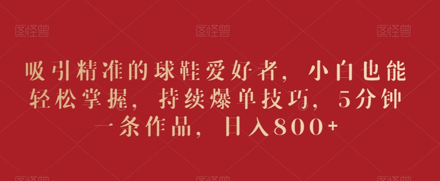 吸引精准的球鞋爱好者，小白也能轻松掌握，持续爆单技巧，5分钟一条作品，日入800+【揭秘】-599资源坊