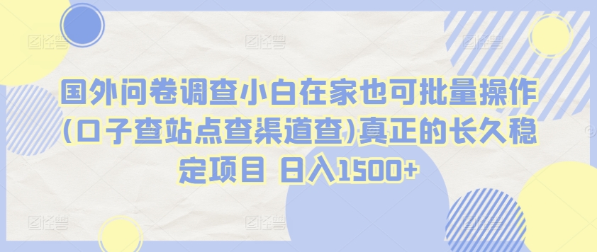 国外问卷调查小白在家也可批量操作(口子查站点查渠道查)真正的长久稳定项目 日入1500+【揭秘】-599资源坊