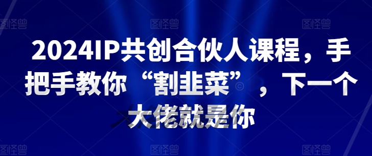 2024IP共创合伙人课程，手把手教你“割韭菜”，下一个大佬就是你-599资源坊
