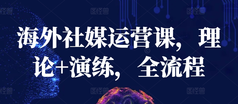 海外社媒运营课，理论+演练，全流程-599资源坊