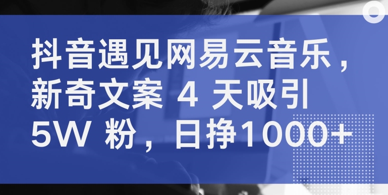抖音遇见网易云音乐，新奇文案 4 天吸引 5W 粉，日挣1000+【揭秘】-599资源坊