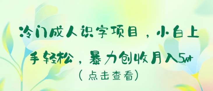 冷门成人识字项目，小白上手轻松，暴力创收月入5w+【揭秘】-599资源坊