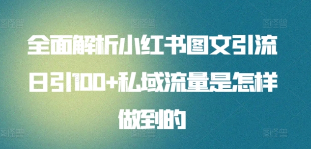 全面解析小红书图文引流日引100+私域流量是怎样做到的【揭秘】-599资源坊