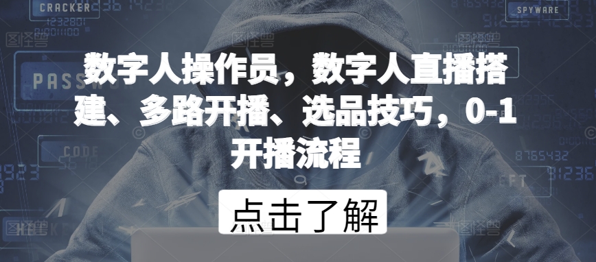 数字人操作员，数字人直播搭建、多路开播、选品技巧，0-1开播流程-599资源坊