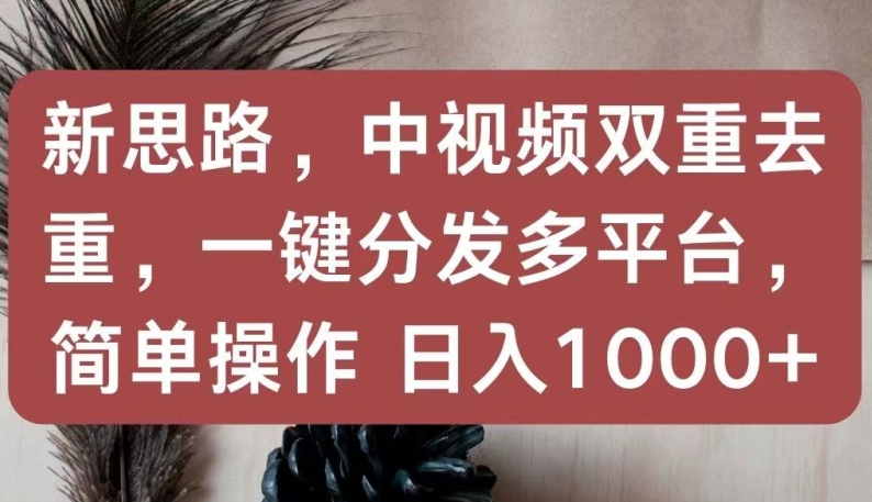 新思路，中视频双重去重，一键分发多平台，简单操作，日入1000+【揭秘】-599资源坊