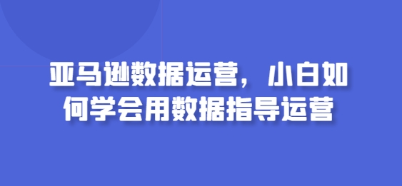 亚马逊数据运营，小白如何学会用数据指导运营-599资源坊