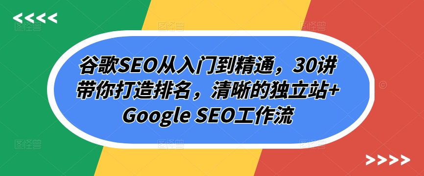 谷歌SEO从入门到精通，30讲带你打造排名，清晰的独立站+Google SEO工作流-599资源坊