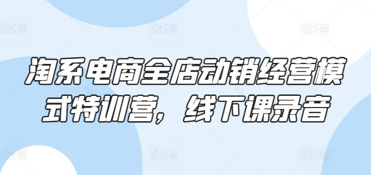 淘系电商全店动销经营模式特训营，线下课录音-599资源坊