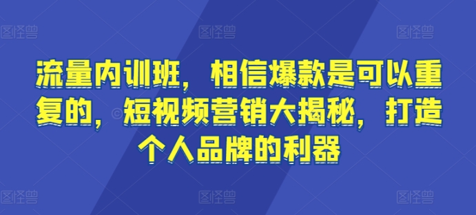 流量内训班，相信爆款是可以重复的，短视频营销大揭秘，打造个人品牌的利器-599资源坊