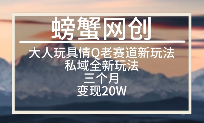 大人玩具情Q用品赛道私域全新玩法，三个月变现20W，老项目新思路【揭秘】-599资源坊