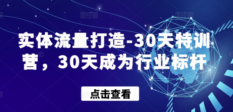 实体流量打造-30天特训营，30天成为行业标杆-599资源坊