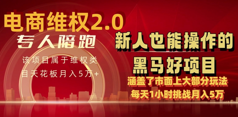 电商维权 4.0 如何做到月入 5 万+每天 1 小时新人也能快速上手【仅揭秘】-599资源坊