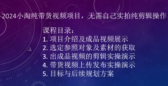 2024小淘纯带货视频项目，无需自己实拍纯剪辑操作-599资源坊