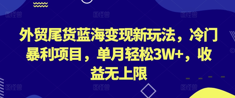 外贸尾货蓝海变现新玩法，冷门暴利项目，单月轻松3W+，收益无上限【揭秘】-599资源坊