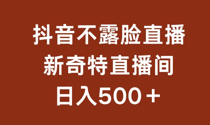不露脸挂机直播，新奇特直播间，日入500+【揭秘】-599资源坊
