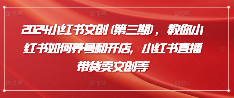 2024小红书文创(第三期)，教你小红书如何养号和开店，小红书直播带货卖文创等-599资源坊