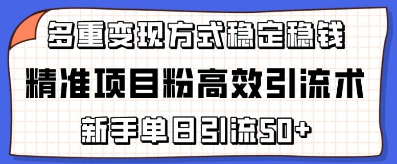 精准项目粉高效引流术，新手单日引流50+，多重变现方式稳定赚钱【揭秘】-599资源坊