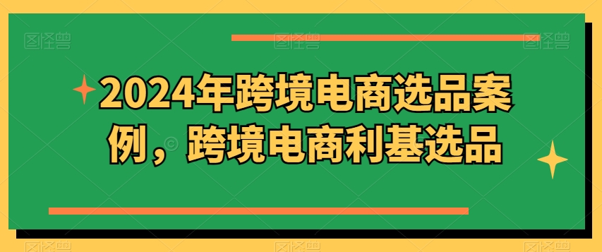 2024年跨境电商选品案例，跨境电商利基选品-599资源坊