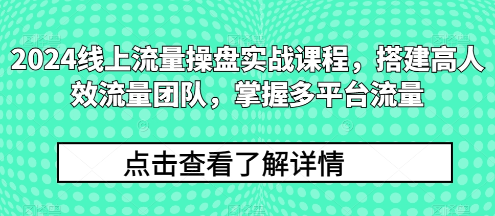 2024线上流量操盘实战课程，搭建高人效流量团队，掌握多平台流量-599资源坊