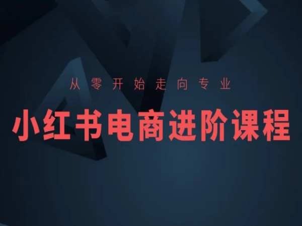 从零开始走向专业，小红书电商进阶课程-599资源坊