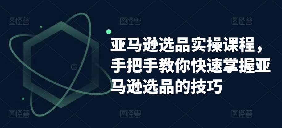 亚马逊选品实操课程，手把手教你快速掌握亚马逊选品的技巧-599资源坊