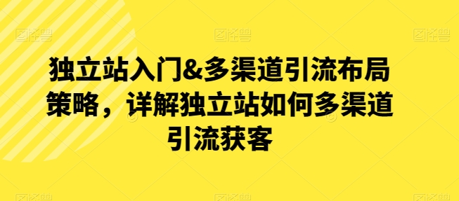 独立站入门&多渠道引流布局策略，详解独立站如何多渠道引流获客-599资源坊