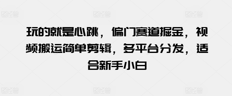 玩的就是心跳，偏门赛道掘金，视频搬运简单剪辑，多平台分发，适合新手小白【揭秘】-599资源坊