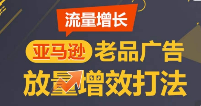亚马逊流量增长-老品广告放量增效打法，循序渐进，打造更多TOP listing​-599资源坊