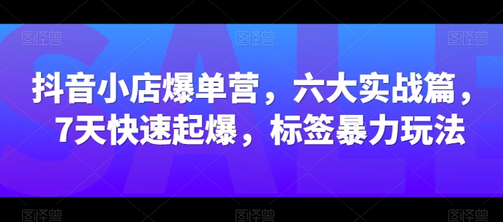 抖音小店爆单营，六大实战篇，7天快速起爆，标签暴力玩法-599资源坊