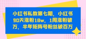 小红书私教第七期,小红书90天涨粉18w,1周涨粉破万,半年矩阵号粉丝破百万-599资源坊