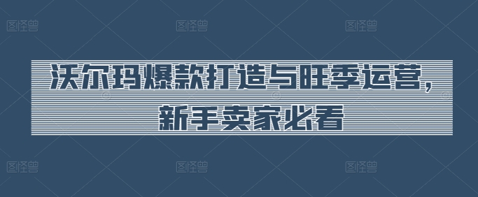 沃尔玛爆款打造与旺季运营，新手卖家必看-599资源坊