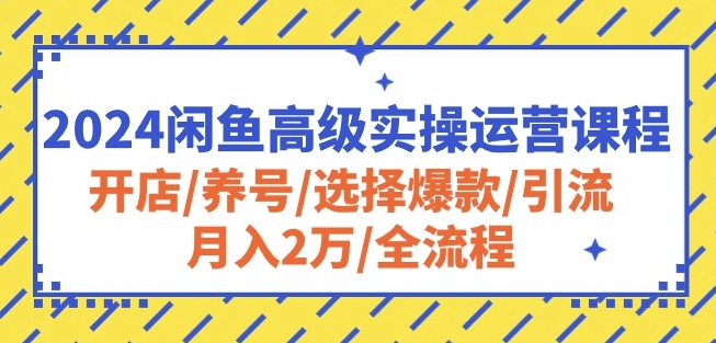 2024闲鱼高级实操运营课程：开店/养号/选择爆款/引流/月入2万/全流程-599资源坊