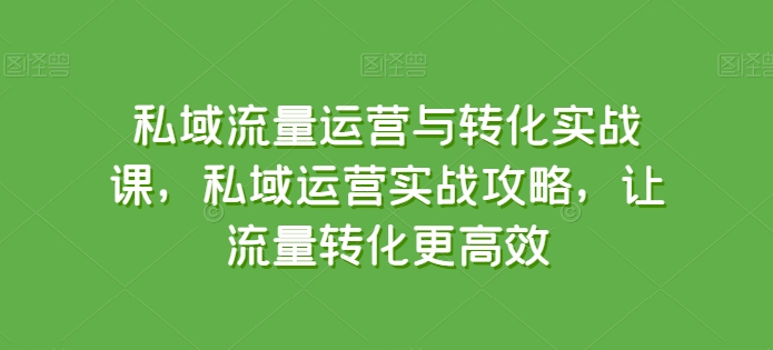 私域流量运营与转化实战课，私域运营实战攻略，让流量转化更高效-599资源坊