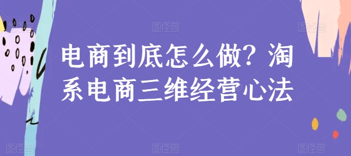 电商到底怎么做？淘系电商三维经营心法-599资源坊