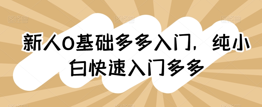 新人0基础多多入门，​纯小白快速入门多多-599资源坊
