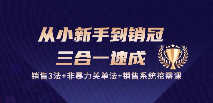 从小新手到销冠 三合一速成：销售3法+非暴力关单法+销售系统挖需课 (27节)-599资源坊
