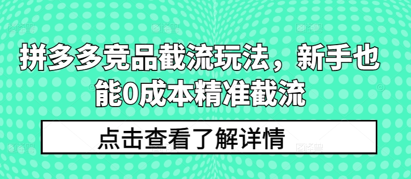 拼多多竞品截流玩法，新手也能0成本精准截流-599资源坊