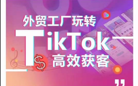 外贸工厂玩转TikTok高效获客，多种引流方式与账号定位技巧，拆解爆款短视频打造成功案例-599资源坊