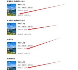 磁力聚星游戏副业陪跑训练营1.0,长期稳定项目,有人一周干了1K+-599资源坊