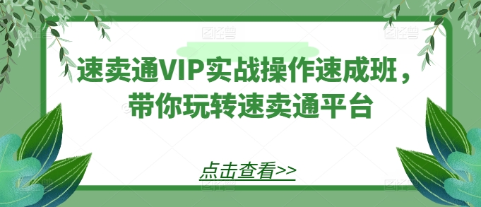 速卖通VIP实战操作速成班，带你玩转速卖通平台-599资源坊