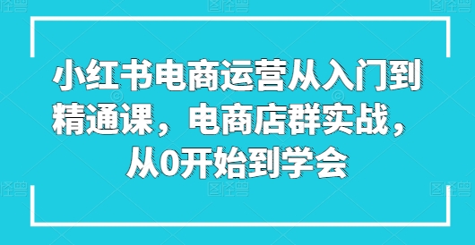 小红书电商运营从入门到精通课，电商店群实战，从0开始到学会-599资源坊