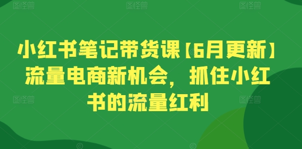 小红书笔记带货课【6月更新】流量电商新机会，抓住小红书的流量红利-599资源坊