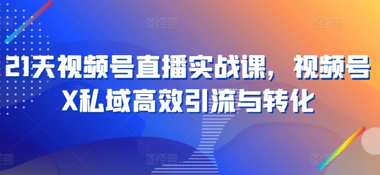 21天视频号直播实战课，视频号X私域高效引流与转化-599资源坊